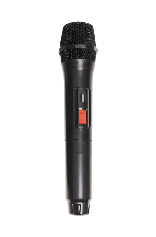 VIVAX BS-810 Speaker - Figura 7