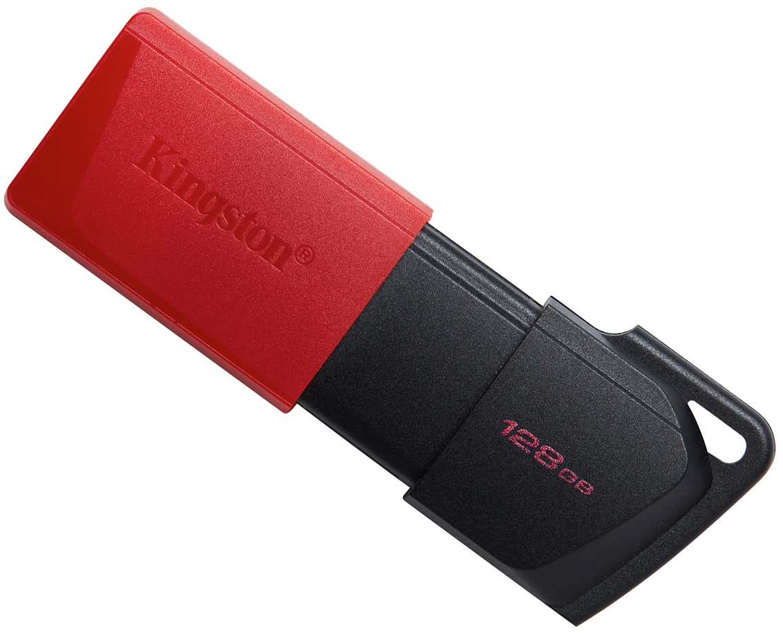 KINGSTON EXOCIA M 12GB, RED - Figura 5